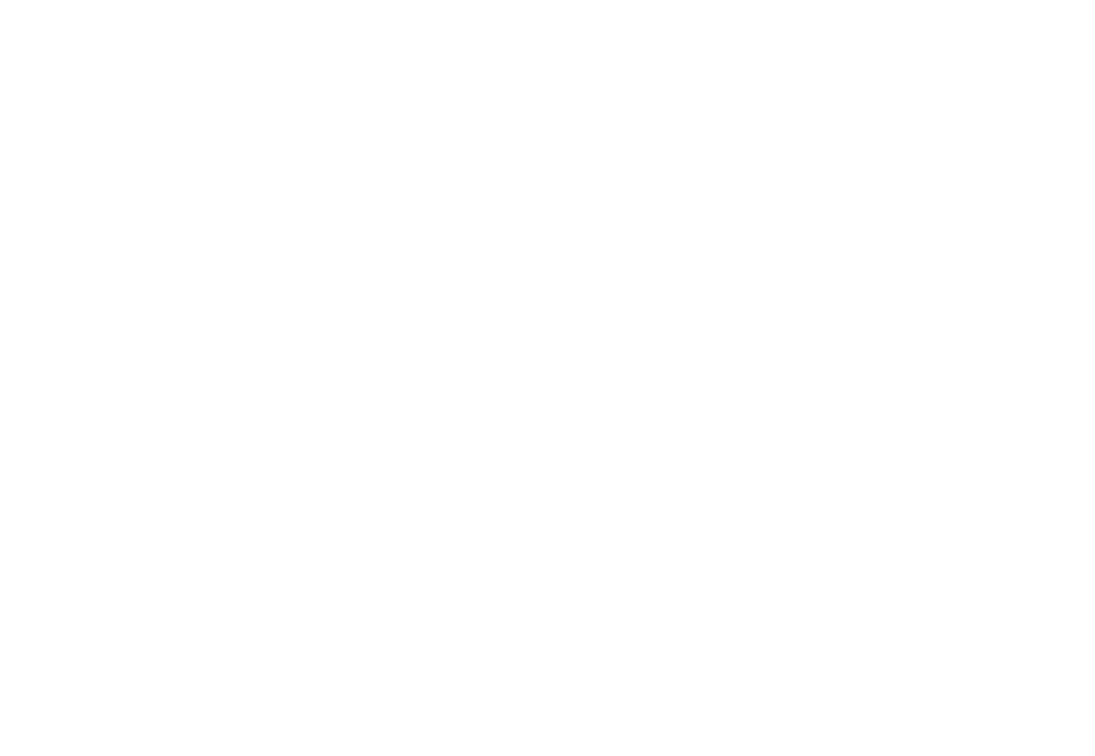 Logo: THE RISE REAL ESTATES