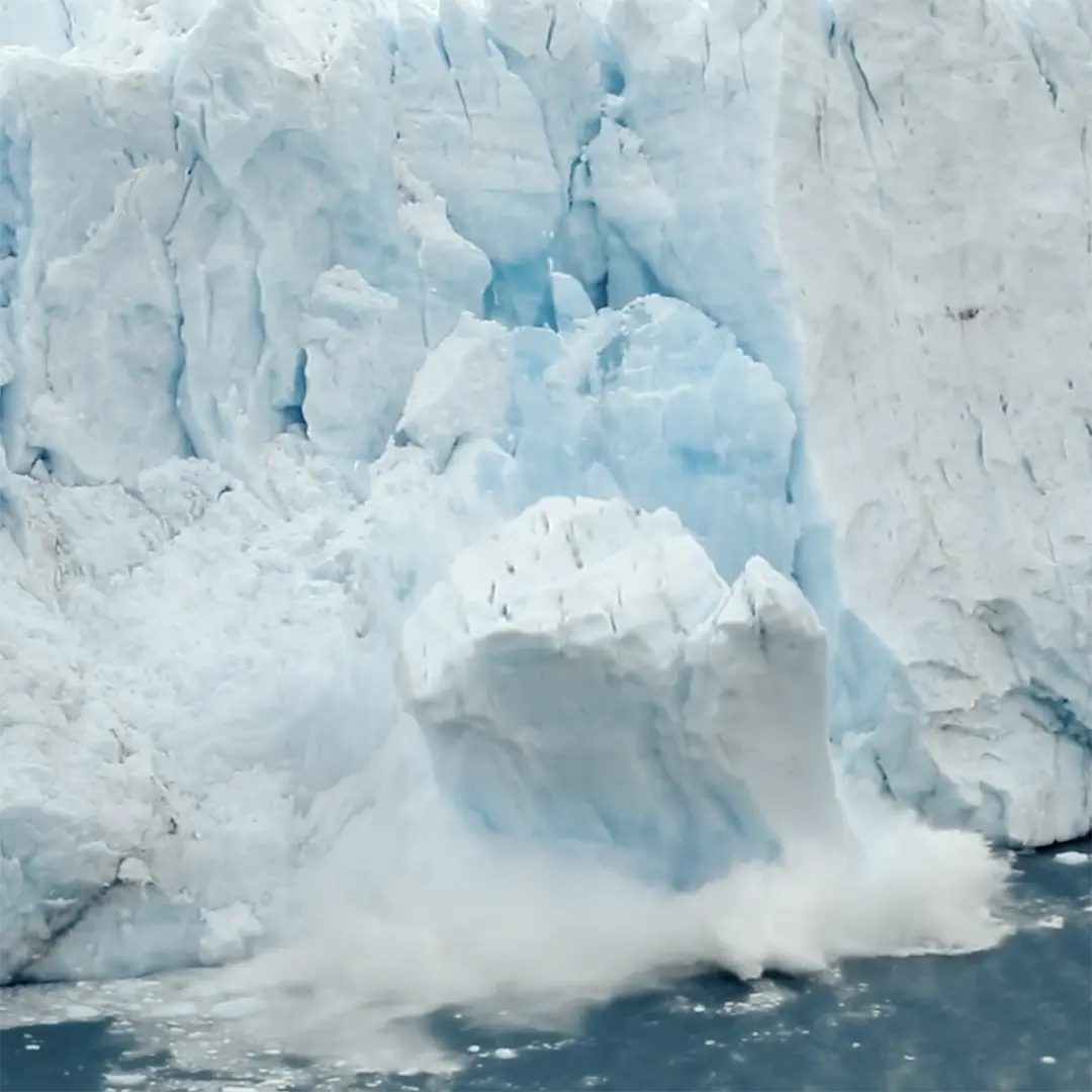 Ice falls into ocean